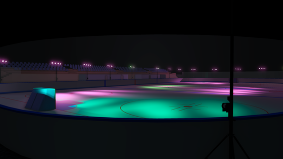 Спортивные объекты: Каток